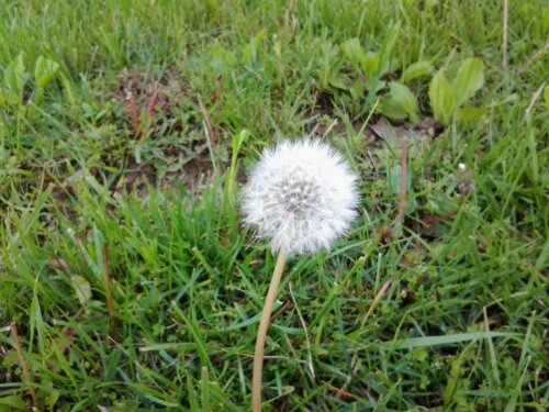 2012-05-05 10.39.12.jpg image